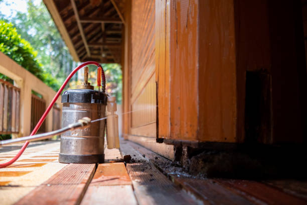 Best Wasp Removal Services  in Forest Heights, MD