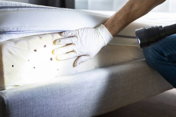 Best Pest Inspection Near Me  in Forest Heights, MD