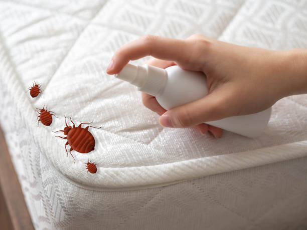 Best Best Pest Control Companies  in Forest Heights, MD